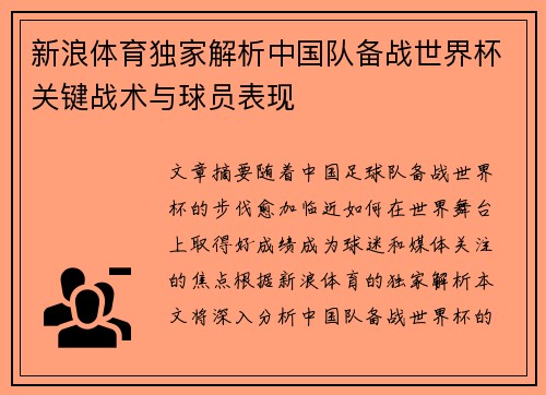 新浪体育独家解析中国队备战世界杯关键战术与球员表现